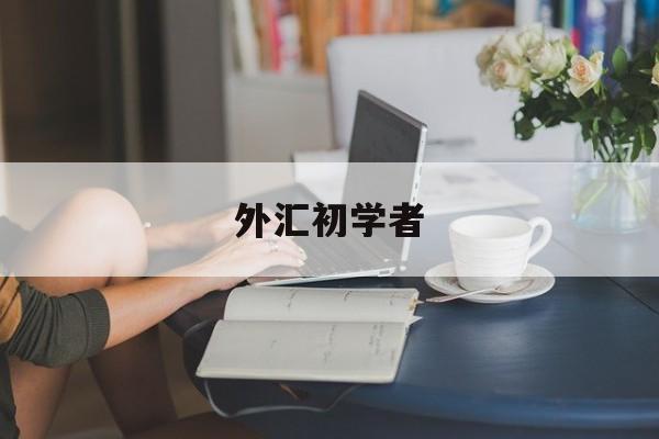 外汇初学者(外汇初学者怎么做外汇)