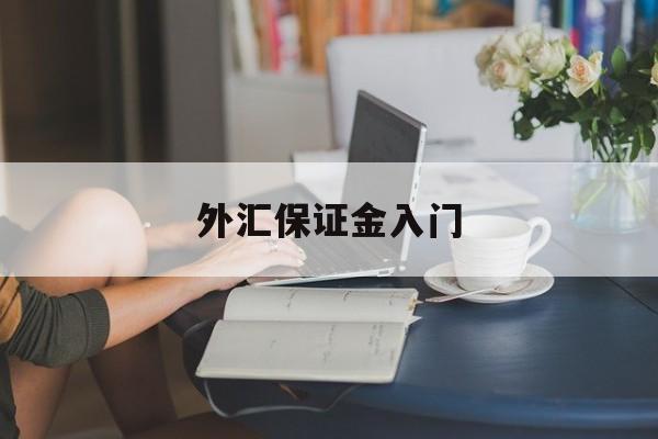 外汇保证金入门(外汇保证金交易是否合法知乎)